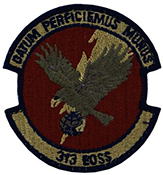 Air Force 313th Expeditionary Operations Support Squadron Spice Brown OCP Scorpion Shoulder Patch With Velcro